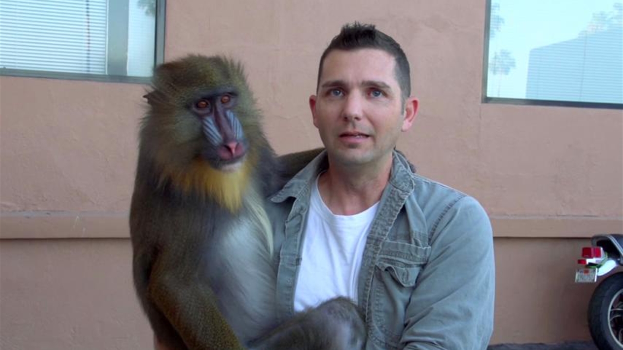Monkey See, Monkey Goo?